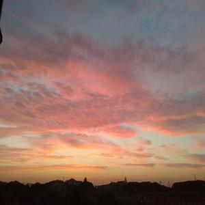 有没有免费看的毛片
