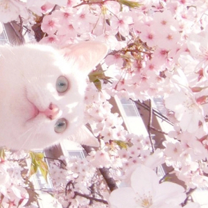 有没有免费看的毛片
